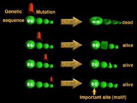 mutationの説明