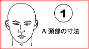 A. 頭部の寸法