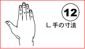 L. 手の寸法