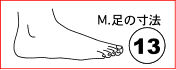 M. 足の寸法