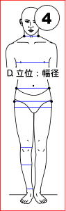 D. 立位：幅径