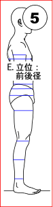 E. 立位：前後径