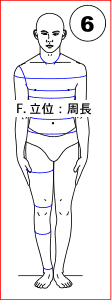 F. 立位：周長