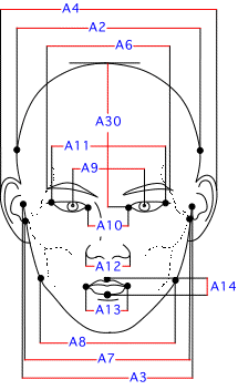 A集合図1
