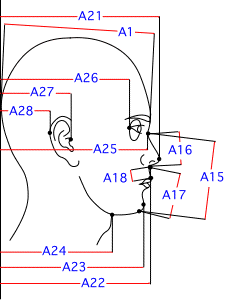 A集合図2