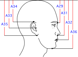 A集合図3