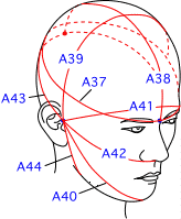 A集合図5