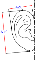 A集合図6