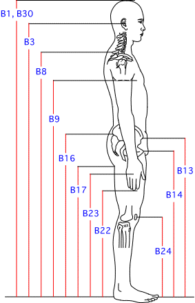 B集合図2