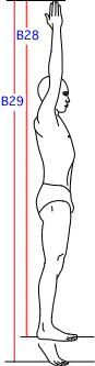 B集合図5