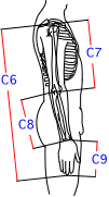 C集合図10
