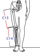 C集合図11