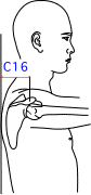 C集合図13