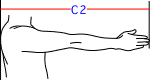 C集合図2