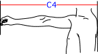 C集合図4