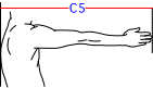 C集合図5