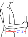 C集合図7