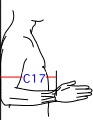 C集合図8