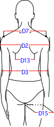 D集合図2