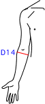 D集合図5