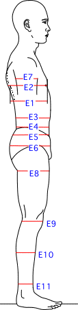 E集合図