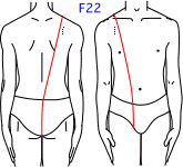 F集合図7