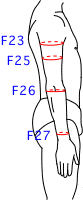 F集合図9