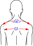 G集合図1