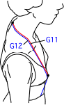 G集合図4