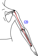 G集合図6