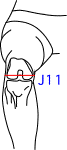 J集合図6