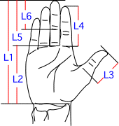 L集合図1
