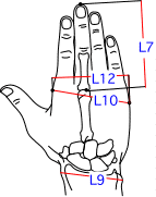 L集合図2