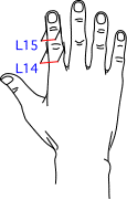 L集合図4