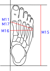 M集合図4