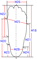 M集合図5