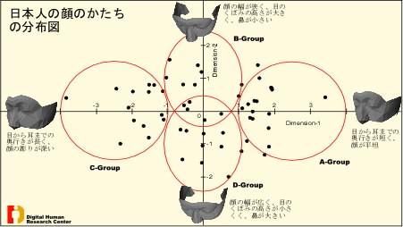 日本人の顔の形・散布図