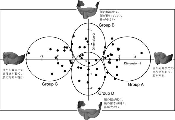 顔のタイプ分類