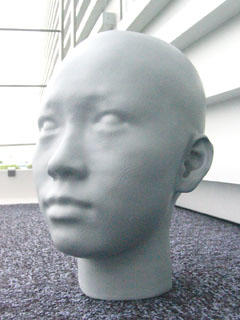 平均人頭模型・女性