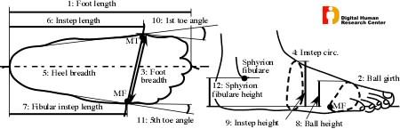 INFOOT03.jpg