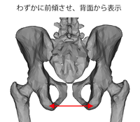 Fig-A_2.png