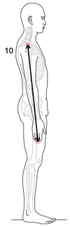 Fig-D.png
