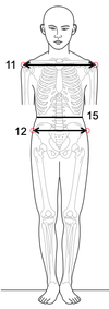 Fig-E.png