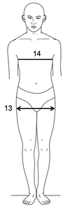 Fig-F.png