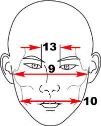 集合図5