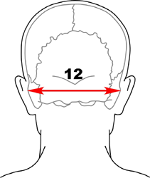 集合図7