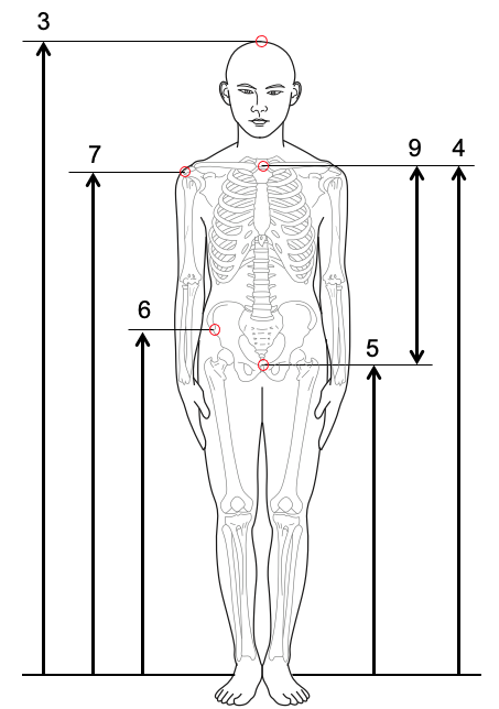 https://www.airc.aist.go.jp/dhrt/it1989/Fig-B.png